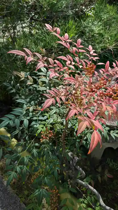 宝蔵寺(京都府)