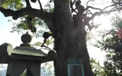 恵蘇八幡宮のその他建物