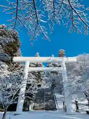 土津神社｜こどもと出世の神さまの鳥居