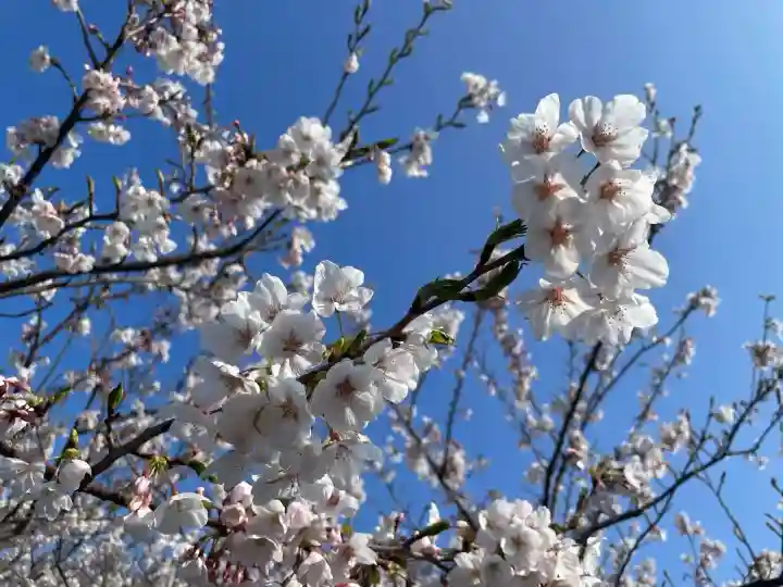 美保神社の{uncategorized: "未分類", other: "その他", undefined: "問題あり", building: "その他建物", grave: "お墓", sacred_gate: "鳥居", guardian: "狛犬", statue: "像", buddha: "仏像", history: "歴史", nature: "自然", garden: "庭園", animal: "動物", pagoda: "塔", temizu: "手水舎", mountain_gate: "山門・神門", sanctuary: "本殿・本堂", subordinate: "末社・摂社", art: "芸術", scenery: "景色", jizo: "地蔵", ema: "絵馬", goshuin: "御朱印", omikuji: "おみくじ", items: "授与品その他", amulet: "お守り", goshuincho: "御朱印帳", eats: "食事", festival: "お祭り", votive_dance: "神楽", shichigosan: "七五三参", wedding: "結婚式", experience: "体験その他", initially: "初詣", around: "周辺", anti_infection: "感染症対策"}