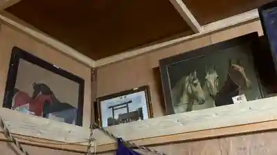 三好八幡神社の{uncategorized: "未分類", other: "その他", undefined: "問題あり", building: "その他建物", grave: "お墓", sacred_gate: "鳥居", guardian: "狛犬", statue: "像", buddha: "仏像", history: "歴史", nature: "自然", garden: "庭園", animal: "動物", pagoda: "塔", temizu: "手水舎", mountain_gate: "山門・神門", sanctuary: "本殿・本堂", subordinate: "末社・摂社", art: "芸術", scenery: "景色", jizo: "地蔵", ema: "絵馬", goshuin: "御朱印", omikuji: "おみくじ", items: "授与品その他", amulet: "お守り", goshuincho: "御朱印帳", eats: "食事", festival: "お祭り", votive_dance: "神楽", shichigosan: "七五三参", wedding: "結婚式", experience: "体験その他", initially: "初詣", around: "周辺", anti_infection: "感染症対策"}