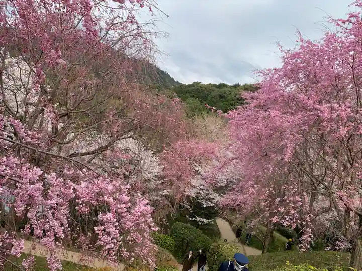 狭井坐大神荒魂神社(狭井神社)の自然