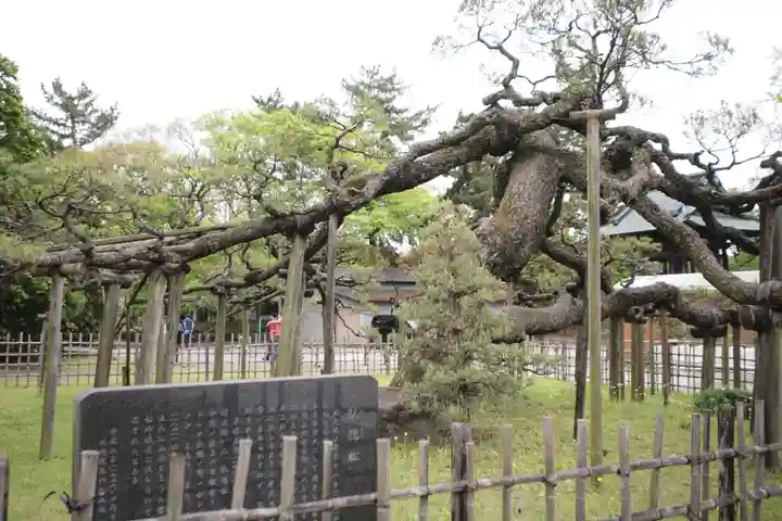 大光院 新田寺の自然