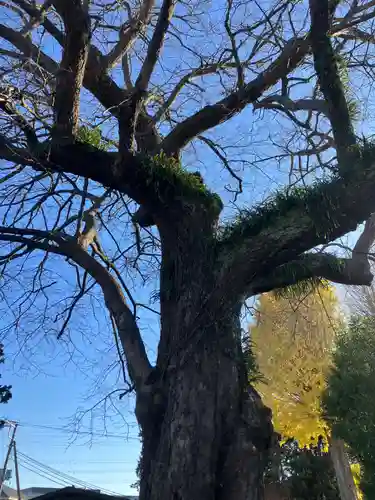 広済寺(神奈川県)