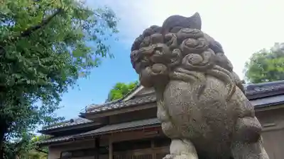 野火止氷川神社の狛犬