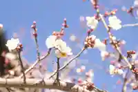 秩父札所十三番 慈眼寺(埼玉県)