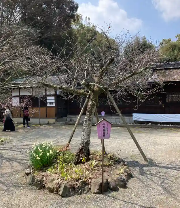 平野神社(京都府)