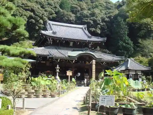三室戸寺の本殿・本堂