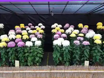 宗像大社(福岡県)