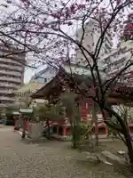 秋葉神社(東京都)