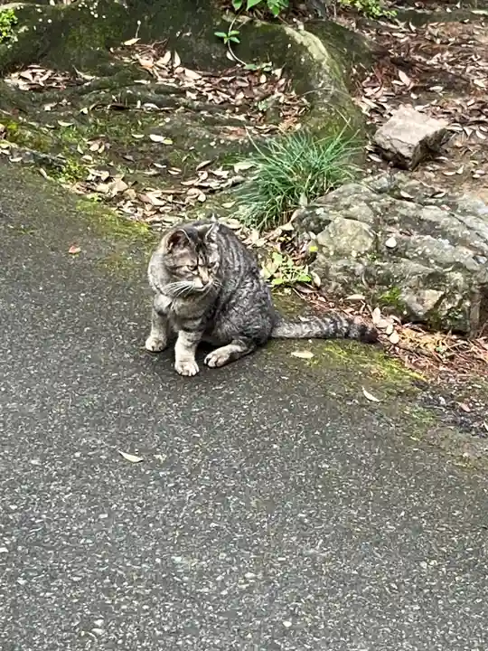 唐澤山神社(栃木県)