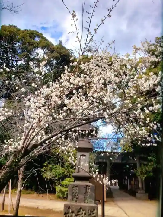 赤坂氷川神社(東京都)