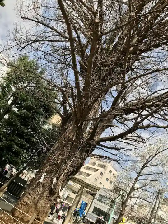 鳩森八幡神社(東京都)