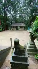 素盞嗚尊神社の狛犬