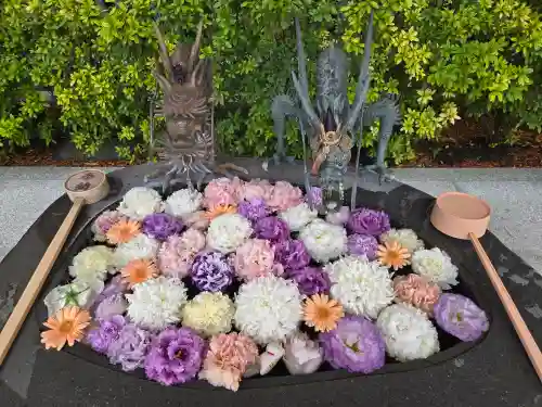 駒込妙義神社(東京都)