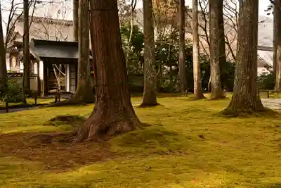 三千院門跡(京都府)