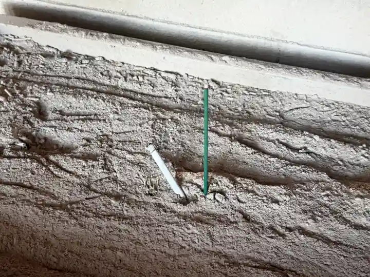 音次郎稲荷神社の{uncategorized: "未分類", other: "その他", undefined: "問題あり", building: "その他建物", grave: "お墓", sacred_gate: "鳥居", guardian: "狛犬", statue: "像", buddha: "仏像", history: "歴史", nature: "自然", garden: "庭園", animal: "動物", pagoda: "塔", temizu: "手水舎", mountain_gate: "山門・神門", sanctuary: "本殿・本堂", subordinate: "末社・摂社", art: "芸術", scenery: "景色", jizo: "地蔵", ema: "絵馬", goshuin: "御朱印", omikuji: "おみくじ", items: "授与品その他", amulet: "お守り", goshuincho: "御朱印帳", eats: "食事", festival: "お祭り", votive_dance: "神楽", shichigosan: "七五三参", wedding: "結婚式", experience: "体験その他", initially: "初詣", around: "周辺", anti_infection: "感染症対策"}