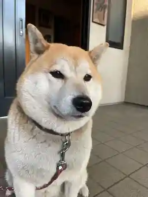 笠䅣稲荷神社(神奈川県)