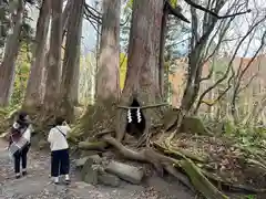 戸隠神社奥社(長野県)