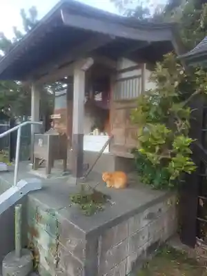 聖天神社（聖天上人像社）の動物