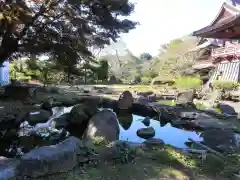 福増寺の庭園