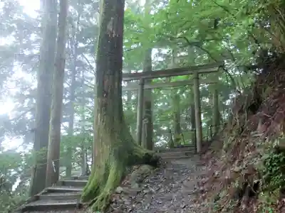 玉置神社の鳥居