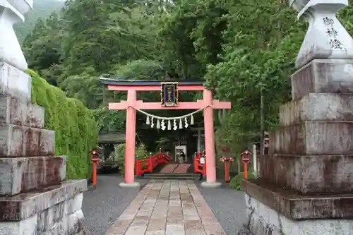 天河大辨財天社の鳥居