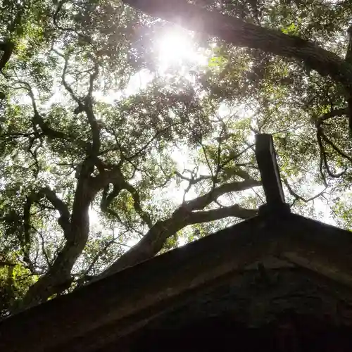 沼尾神社のその他建物