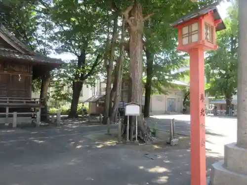 千住神社(東京都)
