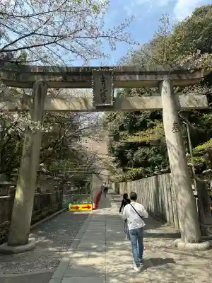 金刀比羅神社(新潟県)
