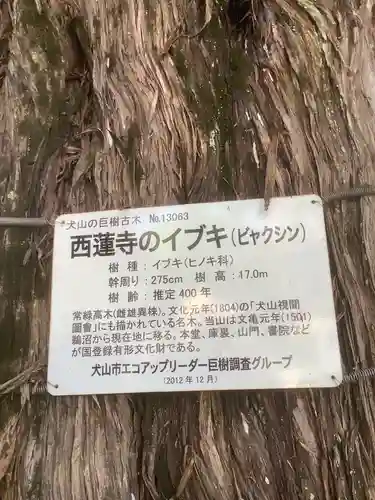 西蓮寺のその他建物