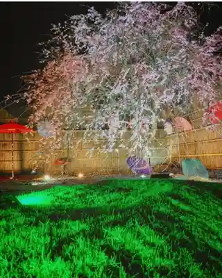 四季桜の寺 妙乗院(愛知県)