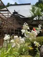 国上寺(新潟県)