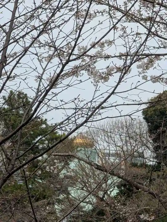 千鳥ヶ淵戦没者墓苑(東京都)