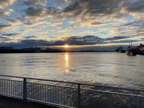 明治神宮の自然