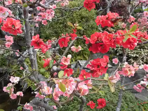 長谷寺(神奈川県)