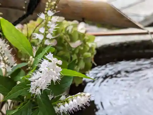 元慶寺(京都府)