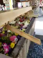 鳩森八幡神社の手水舎