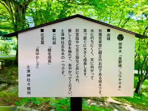 土津神社｜こどもと出世の神さまの歴史