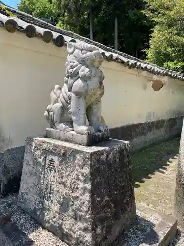 白山比咩神社の狛犬