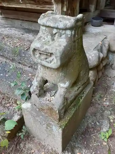 熊野神社の狛犬