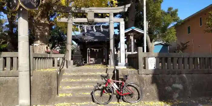 日枝神社の鳥居