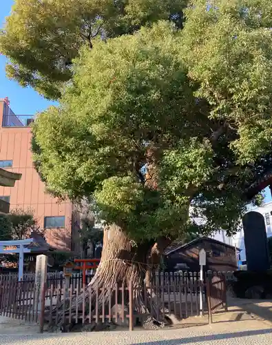 阿遅速雄神社(大阪府)