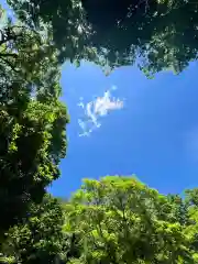 戸隠神社奥社(長野県)