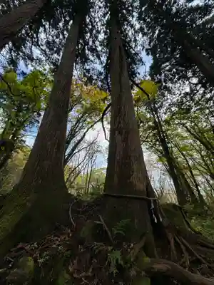 戸隠神社奥社(長野県)
