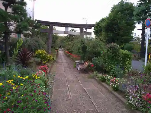 新曽氷川神社の鳥居