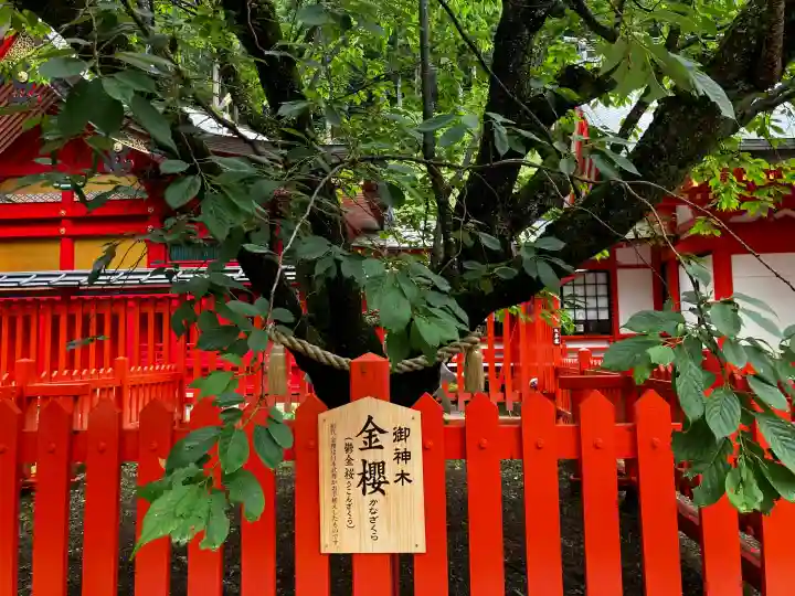 金櫻神社(山梨県)