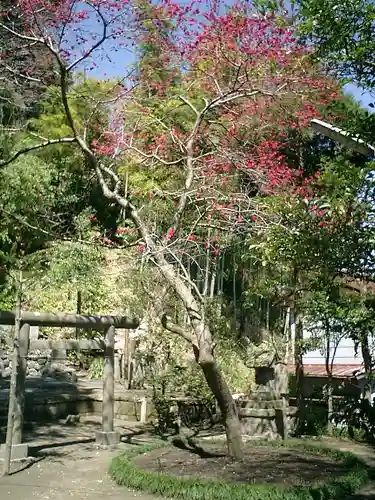 御霊神社の庭園