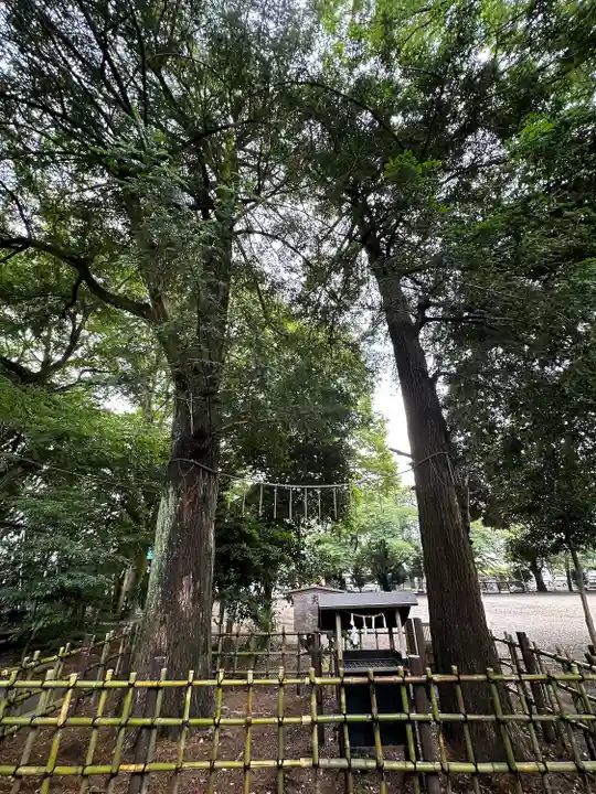 神明大神宮(神奈川県)