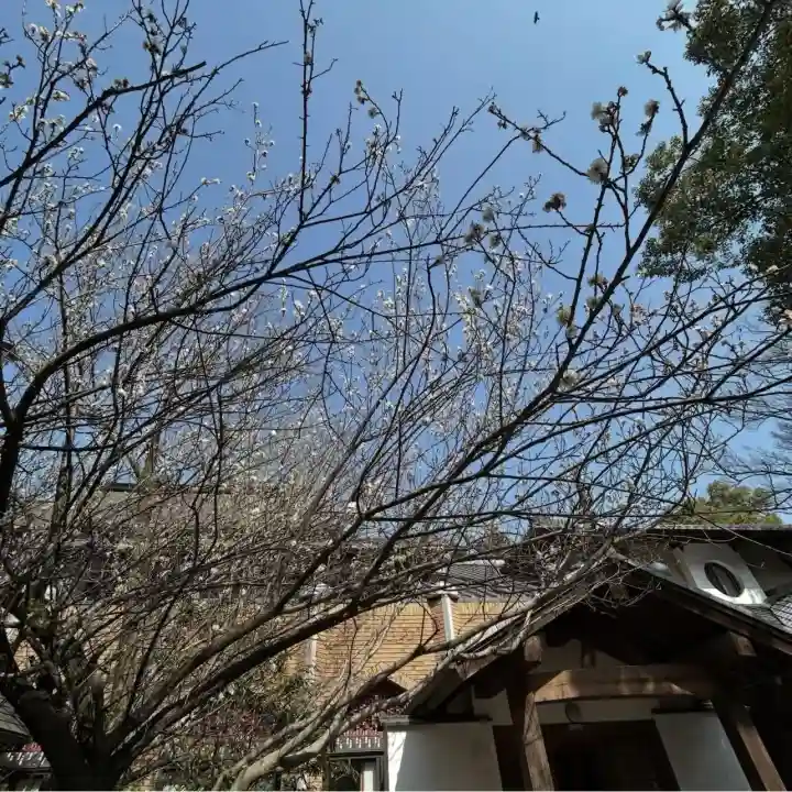 長楽寺の{uncategorized: "未分類", other: "その他", undefined: "問題あり", building: "その他建物", grave: "お墓", sacred_gate: "鳥居", guardian: "狛犬", statue: "像", buddha: "仏像", history: "歴史", nature: "自然", garden: "庭園", animal: "動物", pagoda: "塔", temizu: "手水舎", mountain_gate: "山門・神門", sanctuary: "本殿・本堂", subordinate: "末社・摂社", art: "芸術", scenery: "景色", jizo: "地蔵", ema: "絵馬", goshuin: "御朱印", omikuji: "おみくじ", items: "授与品その他", amulet: "お守り", goshuincho: "御朱印帳", eats: "食事", festival: "お祭り", votive_dance: "神楽", shichigosan: "七五三参", wedding: "結婚式", experience: "体験その他", initially: "初詣", around: "周辺", anti_infection: "感染症対策"}